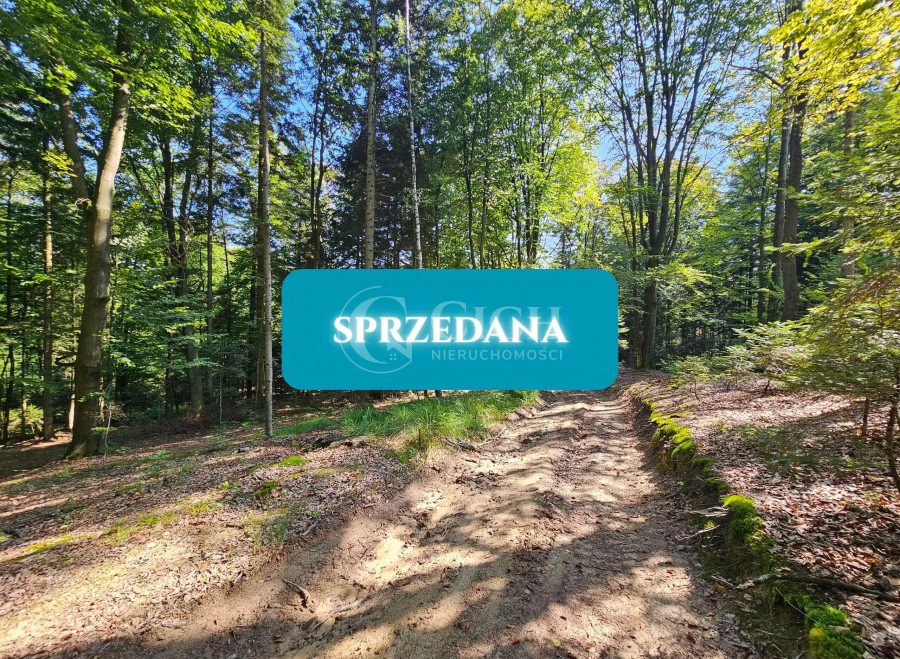 podkarpackie, dębicki, Jodłowa, Działka na sprzedaż