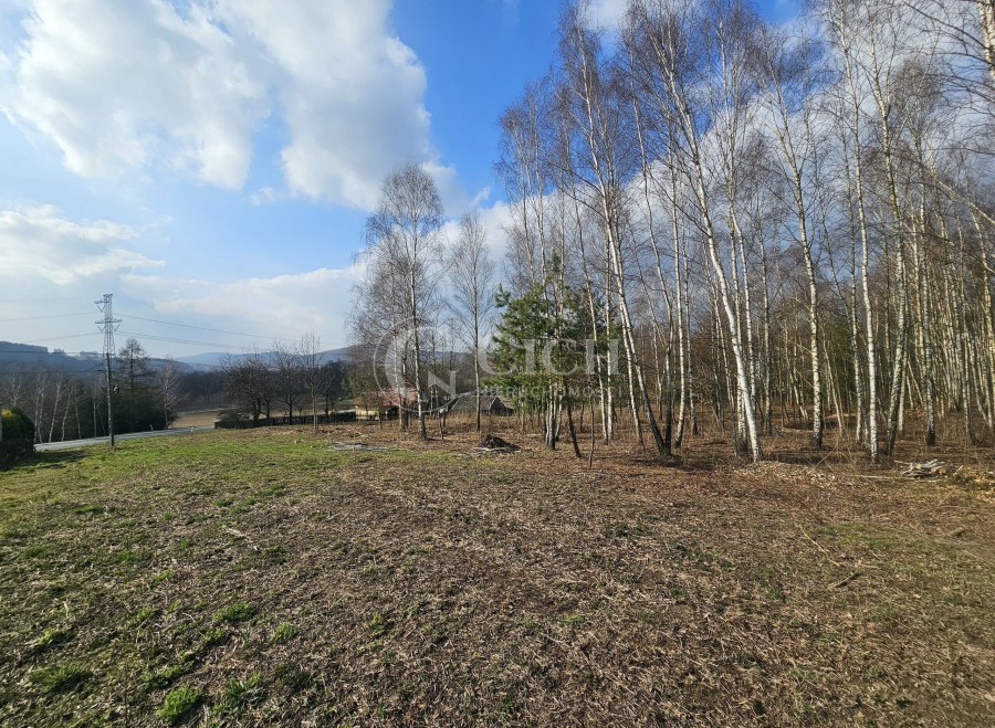 podkarpackie, dębicki, Brzostek, Kamienica Dolna, Działki z WZ-kami w Kamienicy Dolnej